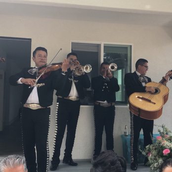 Mariachi Gallos de oro - Mariachi Gallos de Oro - Musicians Near Me Mariachi Gallos de oro - Mariachi Gallos de Oro - Musicians Near Me