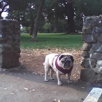 Todd Grove Park - Violet guarding her park gate - Parks Near Me - Ukiah, California