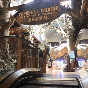 Bass Pro Shops - Boating Near Me - Springfield, Missouri