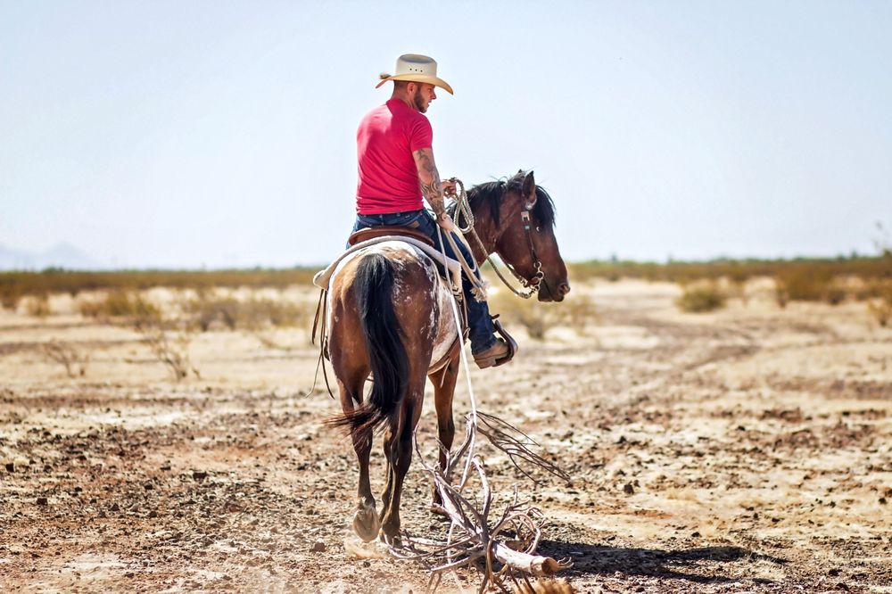Full Circle Horse Training - equestrian in Wittmann, AZ