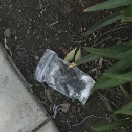 Drugs in the landscaping Drugs in the landscaping