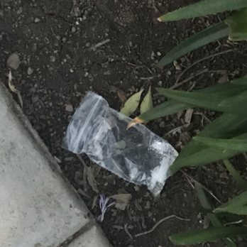 Spruce Village Apartments - Drugs in the landscaping - Apartments Near Me - Riverside, California Spruce Village Apartments - Drugs in the landscaping - Apartments Near Me - Riverside, California