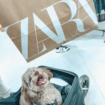Zara - Men's Clothing Near Me - Aventura, Florida Zara - Men's Clothing Near Me - Aventura, Florida