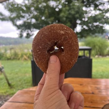 Cider Bellies Doughnuts - Sugar Raised Apple Cider Donut - Donuts Near Me - Meredith, New Hampshire