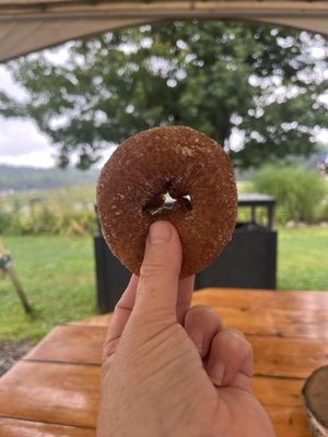 Cider Bellies Doughnuts by null