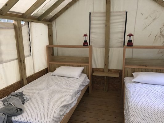 Treetopia Airstream Hotel and RV Campground by null