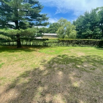 ADP Land Design and Tree Service - After: no more pooling! - Tree Services Near Me - Princeton, New Jersey