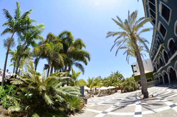 Lopesan Villa del Conde Resort & Thalasso by null
