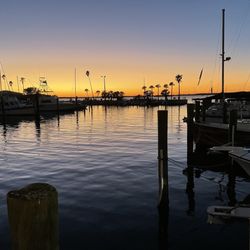 Dunedin Fish Market & Olde Bay Cafe - Glowing Sunset