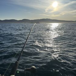 Pacific Offshore Charters