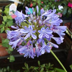 Sparetime Garden Center