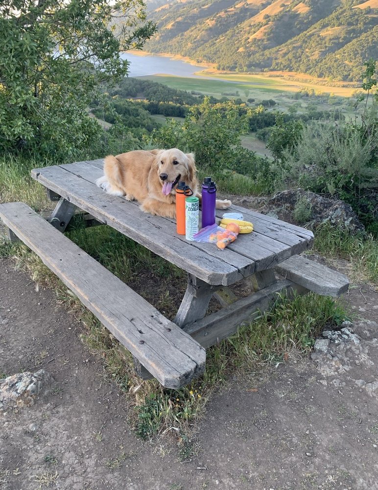 COYOTE LAKE HARVEY BEAR RANCH COUNTY PARK Updated November 2024 332