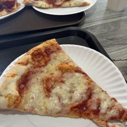 Plain and pepperoni pizza