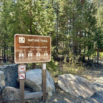 Donner Memorial State Park - 10.06.24 Nature Trail - Parks Near Me - Truckee, California Donner Memorial State Park - 10.06.24 Nature Trail - Parks Near Me - Truckee, California