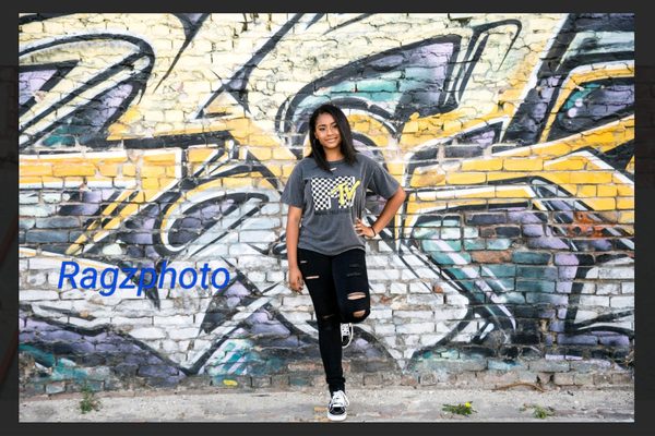 LA Art Tours by null