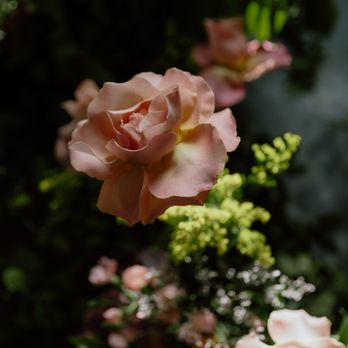 Rosehip Social - Florists Near Me - Brooklyn, New York Rosehip Social - Florists Near Me - Brooklyn, New York