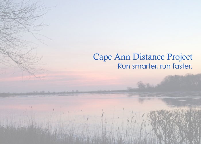 Cape Ann Distance Project Logo