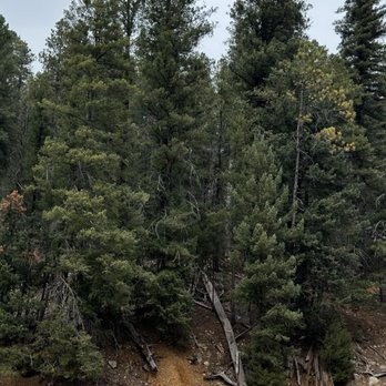 Lincoln National Forest - Campgrounds Near Me - Mayhill, New Mexico Lincoln National Forest - Campgrounds Near Me - Mayhill, New Mexico