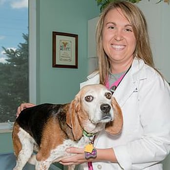 A & E Animal Hospital - Dr. Stanko - Veterinarians Near Me - Urbana, Illinois A & E Animal Hospital - Dr. Stanko - Veterinarians Near Me - Urbana, Illinois