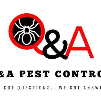 Q&A Pest Control - Pest Control Near Me Q&A Pest Control - Pest Control Near Me