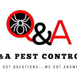Q&A Pest Control