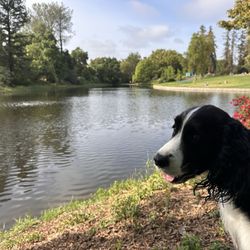 Lake Spafford