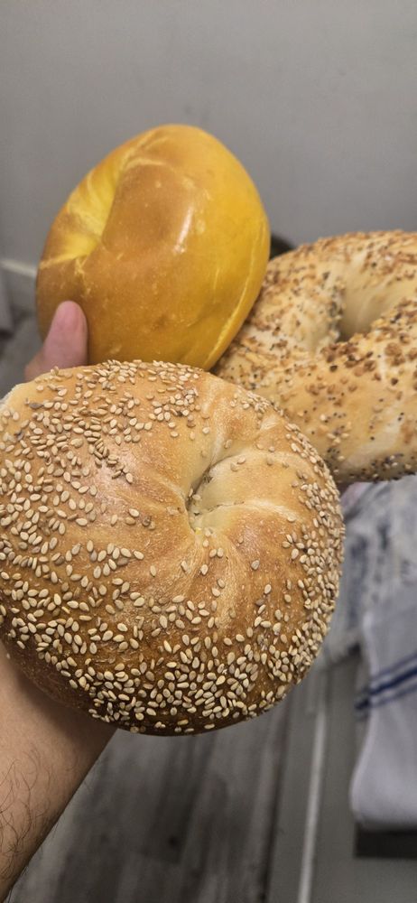 Bagels and Beyond