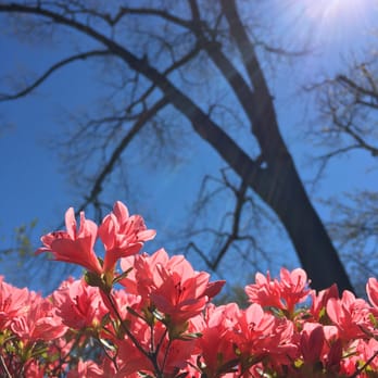 Woodward Park - Parks Near Me - Tulsa, Oklahoma Woodward Park - Parks Near Me - Tulsa, Oklahoma