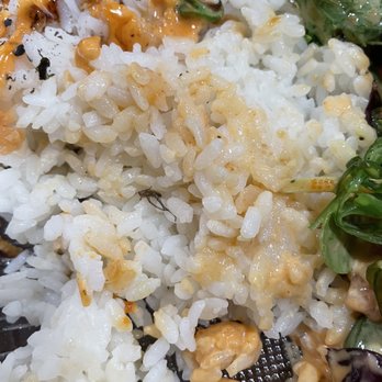 Ahipoki - bug in my rice - Seafood Near Me - Temple City, California Ahipoki - bug in my rice - Seafood Near Me - Temple City, California