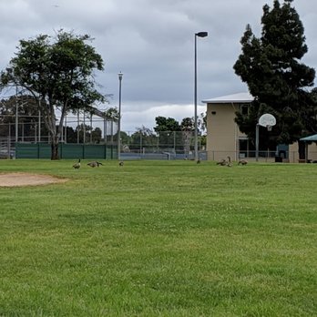 Los Cerritos Community Park - Just when I got excited that the park was clean and geese free, they come back! - Parks Near Me - Fremont, California Los Cerritos Community Park - Just when I got excited that the park was clean and geese free, they come back! - Parks Near Me - Fremont, California