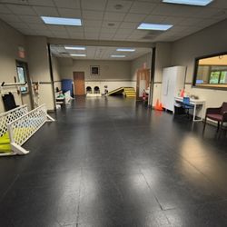 Animal Therapy Center - Gym room - land therapy and also laser therapy.