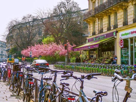 Latin Quarter by null