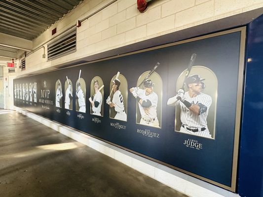 Yankee Stadium Tours by null
