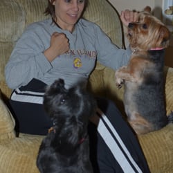 Pampered Paws Pet Sitting Services - A couple of beggers I have sit for for years.