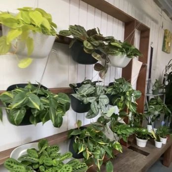 North Park Nursery - Nurseries & Gardening Near Me - San Diego, California North Park Nursery - Nurseries & Gardening Near Me - San Diego, California