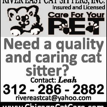 River East Cat Sitters - Caring Cat Sitting - Pet Sitting Near Me - Chicago, Illinois River East Cat Sitters - Caring Cat Sitting - Pet Sitting Near Me - Chicago, Illinois