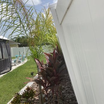 Tropical Escapes Pool Builders - fence leaning due to dirt piled against it. - Pool & Hot Tub Service Near Me - Land O' Lakes, Florida
