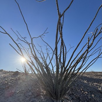 Mecca Hills Wilderness - We live, surrounded by beauty. - Hiking Near Me - Mecca, California Mecca Hills Wilderness - We live, surrounded by beauty. - Hiking Near Me - Mecca, California