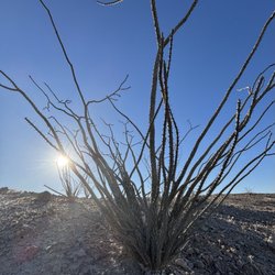Mecca Hills Wilderness - We live, surrounded by beauty.