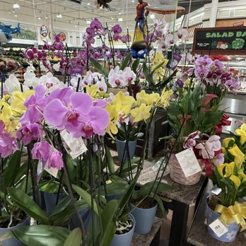 Harris Teeter - Grocery Near Me - Manassas, Virginia