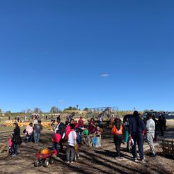 The Pumpkin Hollow - Main Area