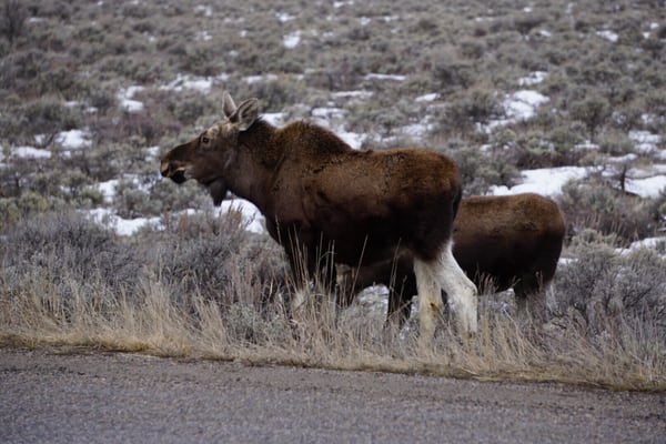 The Hole Hiking Experience by null