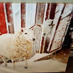 Princess Western Design - Cute sheep picture upstairs