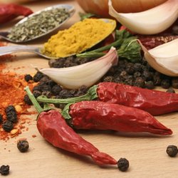 Koriander Takeaway