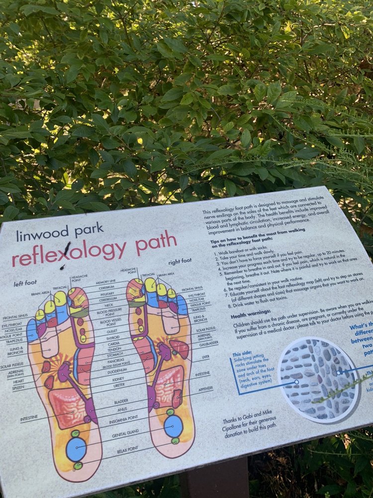 Social spots from Linwood Park