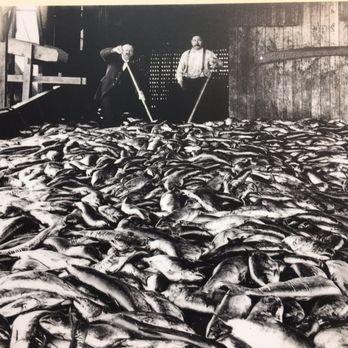 Quinalt National Fish Hatchery - Local Services Near Me - Humptulips, Washington