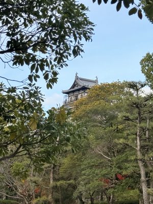 Hiroshima Castle by null