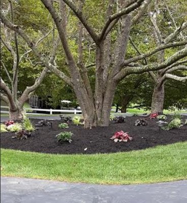 Garden - At Ervin's Landscaping, we provide excellent quality of service and artistry. Whether you are reviving a lost garden or are looking for a ne Garden - At Ervin's Landscaping, we provide excellent quality of service and artistry. Whether you are reviving a lost garden or are looking for a ne