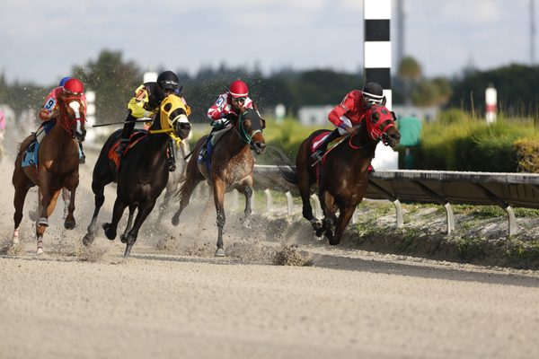 Gulfstream Park Racing by null