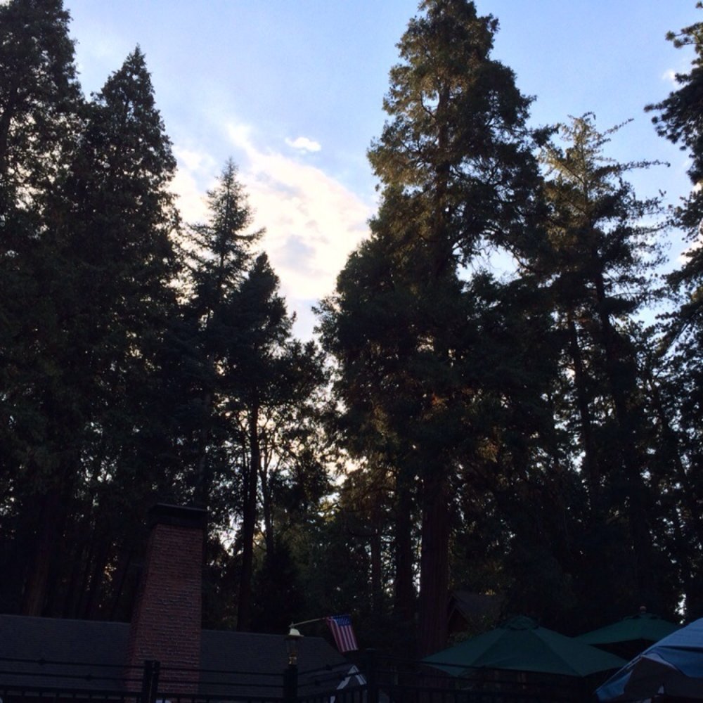 Arrowhead Tree Top Lodge - Hotels Near Me - Lake Arrowhead, California Arrowhead Tree Top Lodge - Hotels Near Me - Lake Arrowhead, California